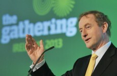 Help bring diaspora home to visit Ireland, Taoiseach urges public