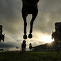 Dounikos and Gordon Elliott land Grand National Trial at Punchestown