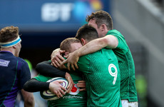Schmidt hoping Ireland's challenges are a 'vaccination' for the World Cup