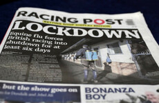 Four more cases of equine influenza at Newmarket yard
