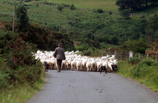 Opinion: Small farmers need to wake up and realise that the big farming lobby doesn't represent their interests