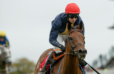Donn McClean: City Island must improve to make Cheltenham impression but has the potential