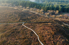 Fancy Mountain Biking on the Slieve Blooms? Rural projects given government funding go-ahead