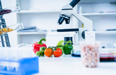 FSAI develops new DNA food scanning tool to clamp down on food fraud