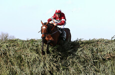 Donn McClean: Much more than a stepping stone win for rocking Tiger Roll