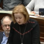 Pregnant woman with '15% chance of delivery' given list of UK hospitals to get abortion, Dáil hears