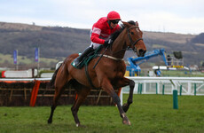 Laurina out to cement her status as a live Champion player in Quevega Hurdle
