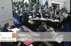 LIVE: British-Irish Parliamentary Assembly takes place in Dublin
