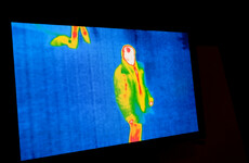 Community service for mugger caught hiding in bushes by gardaí using thermal imaging