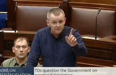 'Shenanigans' - Dáil suspended twice after TDs row over fossil fuel Bill