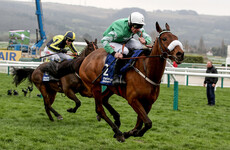 Gold Cup favourite Presenting Percy not declared for Bobbyjo