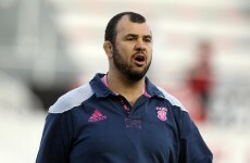 Cheika won't be staying on at Stade Francais