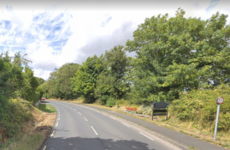 Man (19) dies after car he was travelling in struck ditch in Co Wicklow