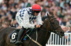 Donn McClean: why Rathvinden has lots in his favour as a Grand National candidate