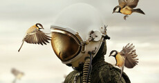 10 stunning photos from Sony World Photography Awards' Open competition
