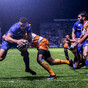 Leinster fail to fire but do more than enough to tame the Cheetahs