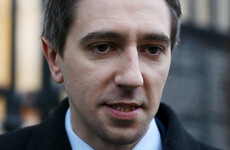 Minister appoints counsellor board that will deal with 'rogue' psychotherapists and crisis pregnancy agencies