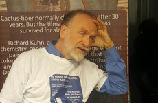 Man who ran HSE copycat website claims it helped 'save five or six women and babies from abortion'