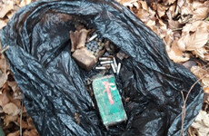 Explosives, firearms and ammunition recovered by gardaí in Co Louth