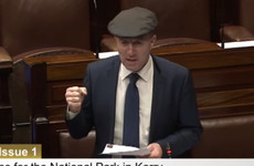 'Losing the war of the rhododendrons': Healy-Rae says invasive weed in Killarney is getting worse