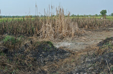 Department warns that people who illegally burn land risk prosecution