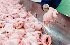 Talk of post-Brexit 'chlorinated chicken and hormone beef' is a 'smear campaign', claims US envoy