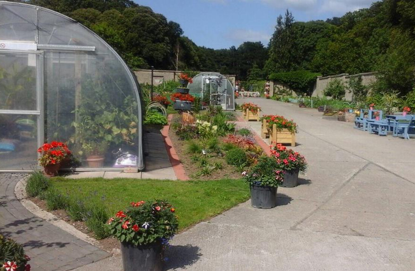 Double Take The Dublin Allotment That Was Once The Guinness