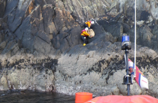 In pictures: Lifeboat crew scale cliff to rescue sheep in Cork