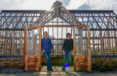 From the garden: Grow, Cook, Eat is back on TV this month and we'll be tackling food waste