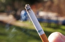 TD backs calls for smoking ban in children's playgrounds