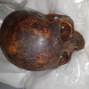 Gardaí recover head of 800-year-old mummy stolen from crypt of Dublin Church