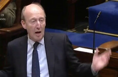 Shane Ross apologises for saying Sinn Féin TD was ‘like a donkey’