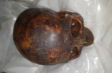 Man arrested over theft of 800-year-old mummy head from crypt of Dublin Church