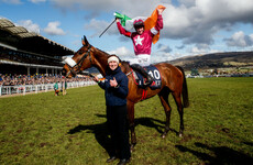 Head of the class: Getting Gordon Elliott’s yard ready for Cheltenham