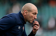 'When Ireland play that, they are arguably the best in the world' - Borthwick