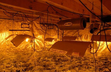 Three people charged after gardaí discover €200k worth of cannabis in Sligo house