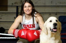Your Katie Taylor Dog Food Image of the Day