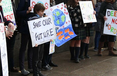 'We're going to go extinct if we don't do something': Irish school students on why they're striking for climate action
