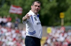 Meath appoint Seamus McEnaney at last