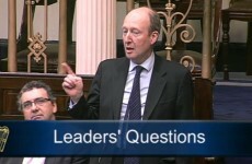 Shane Ross proposes bill to allow delay to referendum