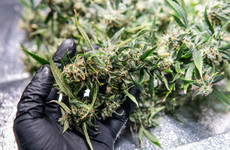 Gardaí arrest two in Portugal over Cork cannabis haul