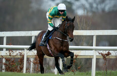 Shadow over Cheltenham's final day as Triumph Hurdle favourite Sir Erec suffers fatal injury