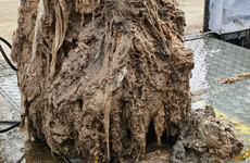 8ft fatberg made of wet wipes and nappies removed from sewer in Wicklow