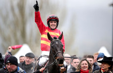 5 horses to follow over the next 12 months after the Cheltenham Festival