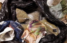 Two men arrested after firearm and drugs worth €320,000 seized during house search