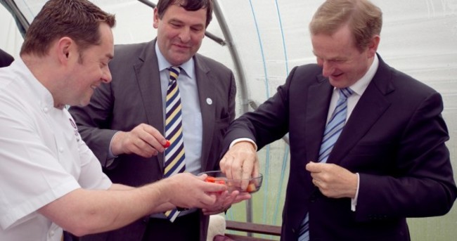 Fruity and Delicious Taoiseach with Strawberries of the Day