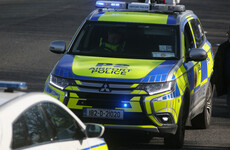 Syrian national on garda terror watchlist flees Ireland after hammer attack