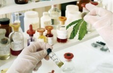 No clear timeline for approval of cannabis-based painkiller in Ireland