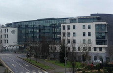 Minister promises review into deaths of Marie Downey and her son in Cork hospital