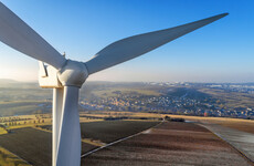 Irish Wildlife Trust lodges objection to Bord na Móna windfarm in Co Longford